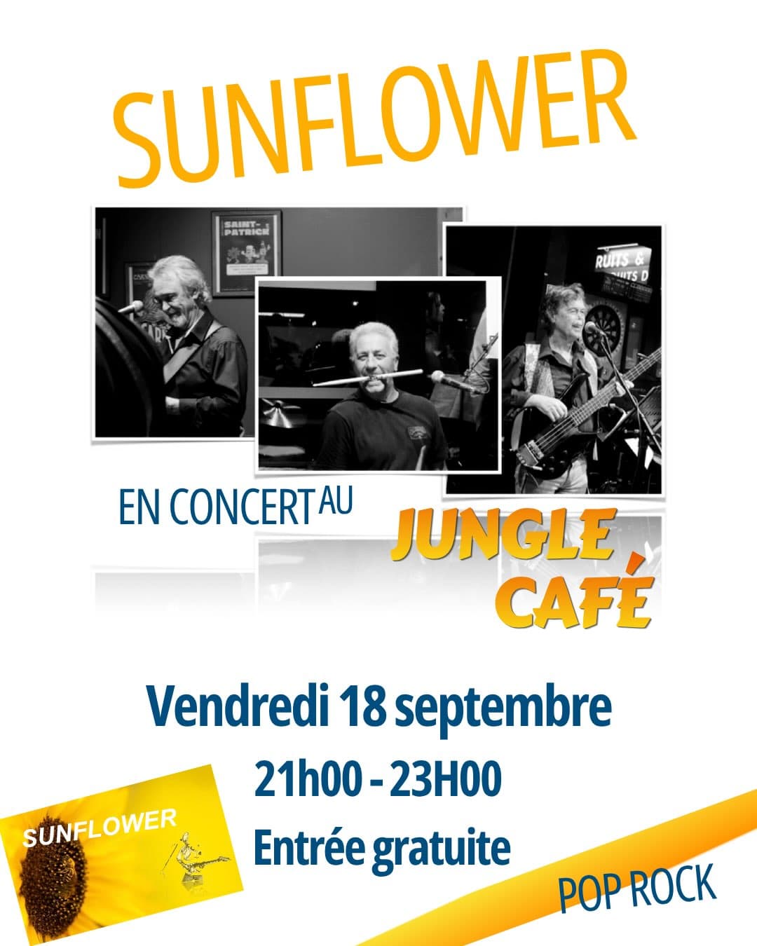 Sunflower en live au Jungle Café